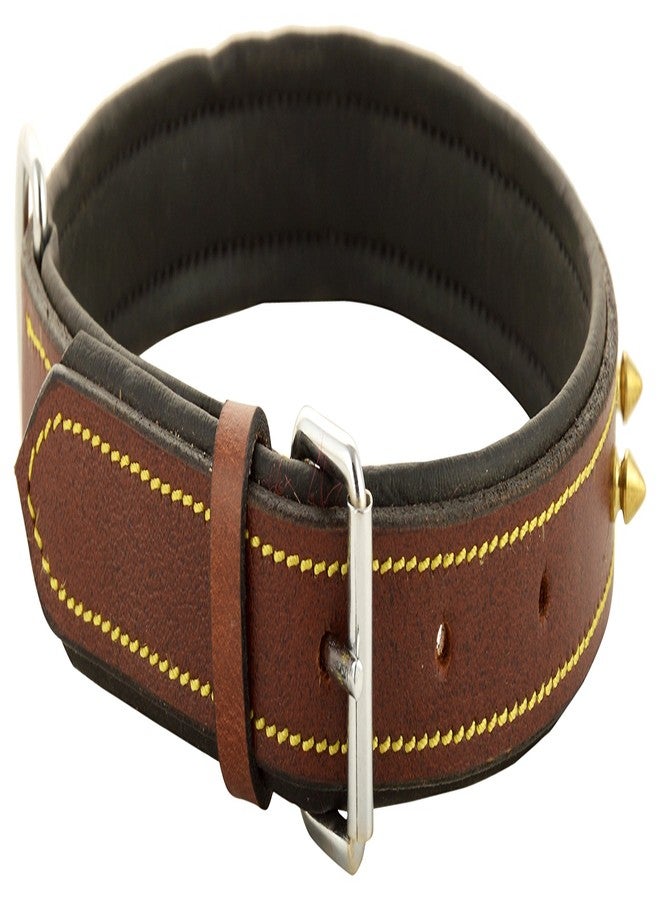 Skora Export Quality Genuine Brass Spiked Leather Dog Collar - 1 Inch (ML) Dog Everyday Collar (Medium, Brown) - Image 3